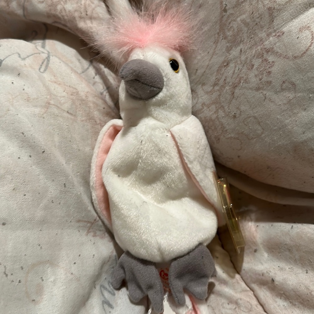 The Beanie Baby Collection